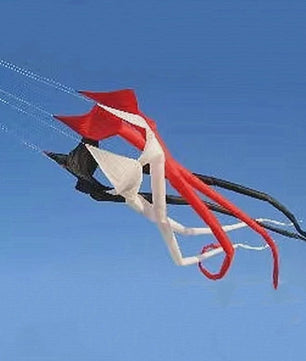 Grote 6 Meter 3D Regenboog Vlieger - Krachtige Outdoor Speelgoed Vlieger voor Plezier