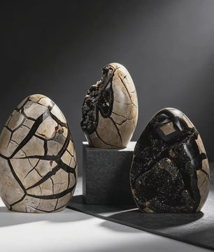 Septarian Draken Ei Kristal Geode - Zwart Kwarts voor Spirituele Heling & Decoratie