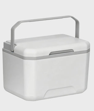Draagbare Camping Koelbox 5L met Handvat - Geïsoleerd en Lekvrij