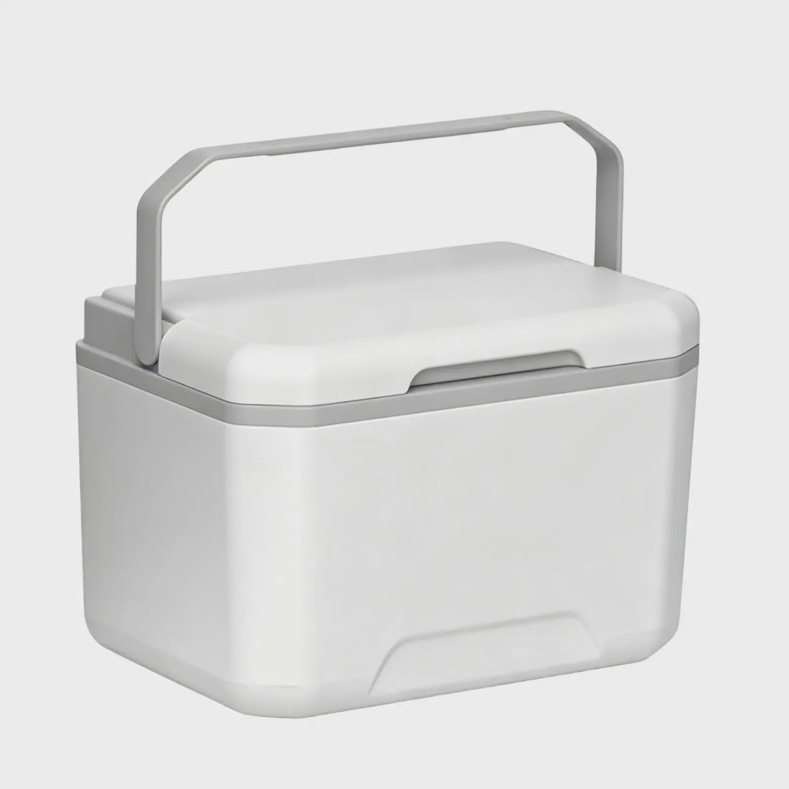 Draagbare Camping Koelbox 5L met Handvat - Geïsoleerd en Lekvrij