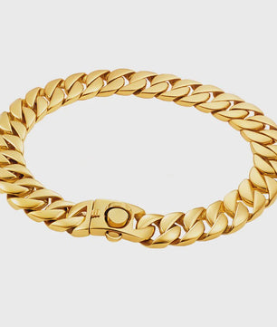 Gouden Hondenketting 32mm RVS - Stoere Halsband voor Grote Rassen