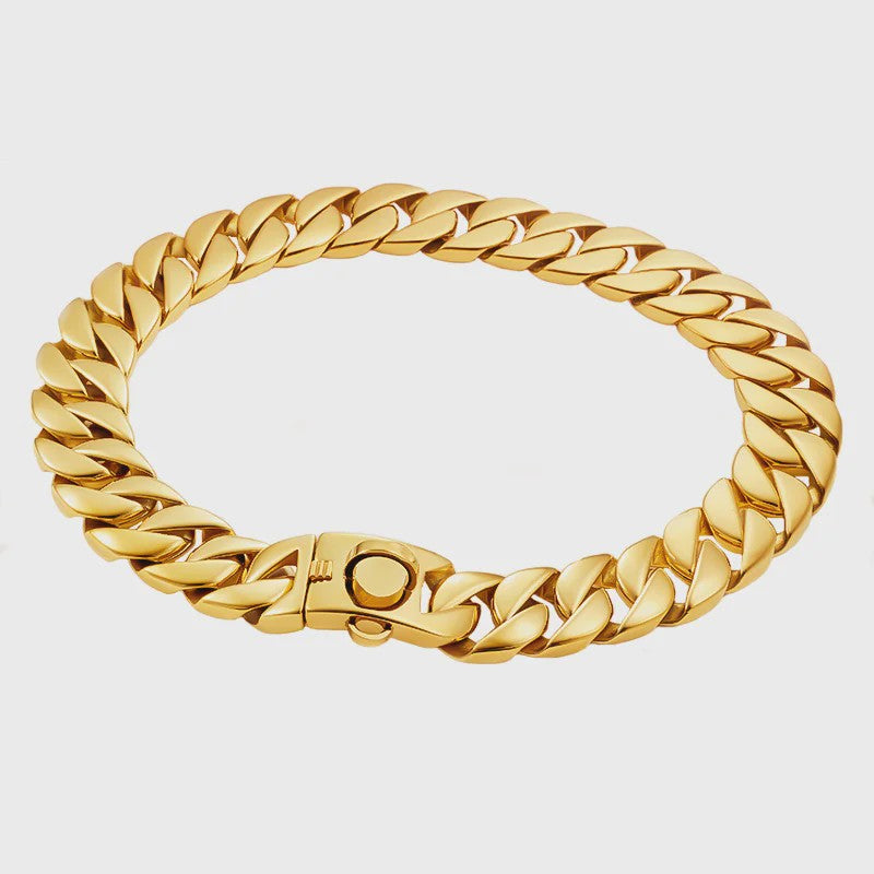 Gouden Hondenketting 32mm RVS - Stoere Halsband voor Grote Rassen