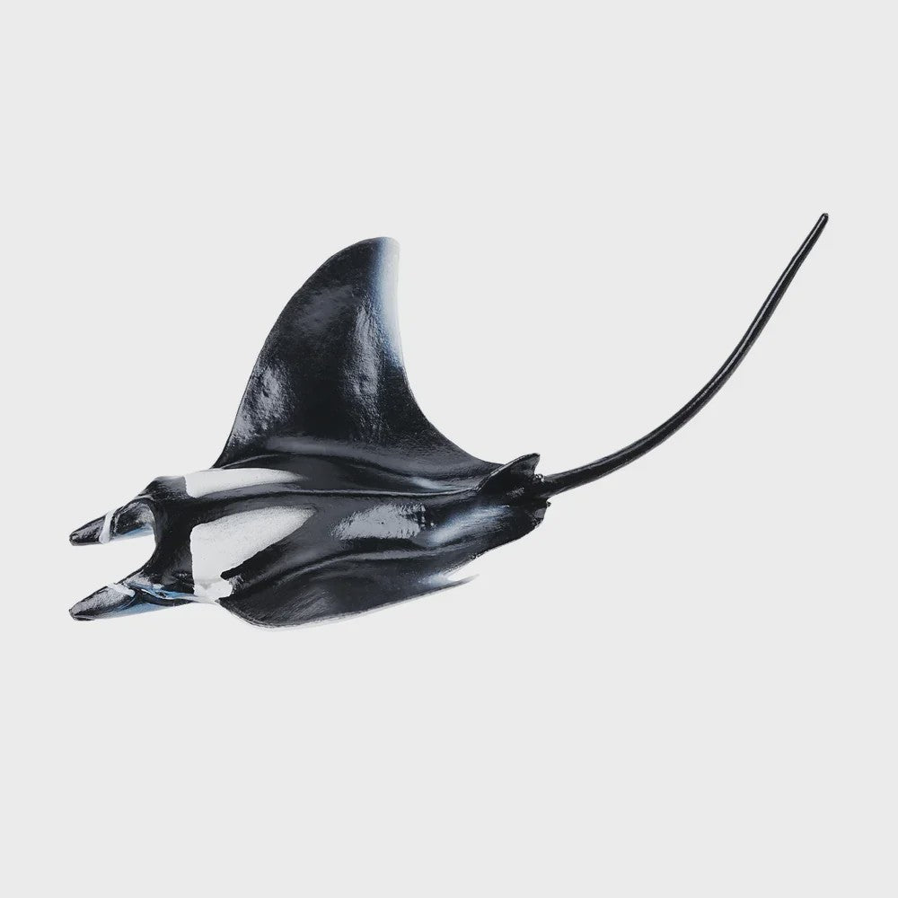 Toymany Manta Ray Speelfiguur - Realistische Oceaan Dieren Model, Cadeau voor Kinderen
