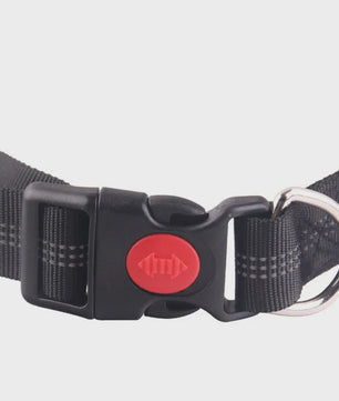 Handsfree Hondenriem met Verstelbare Tailleband - Ideaal voor Hardlopen, Joggen & Fietsen met Grote Honden