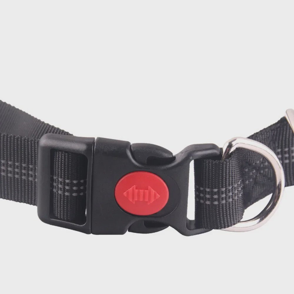 Handsfree Hondenriem met Verstelbare Tailleband - Ideaal voor Hardlopen, Joggen & Fietsen met Grote Honden