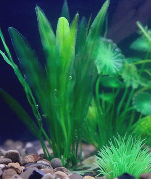 Kunstplanten Aquarium Set - Levendige Decoratie voor Vissenkom en Waterplanten