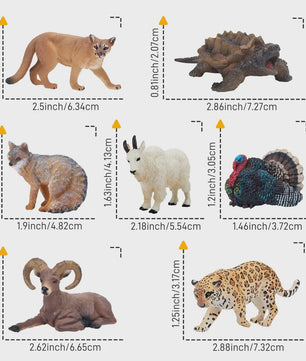 Toymany Noord-Amerikaanse Dieren Speelgoedset - 14 Realistische Mini Figuren
