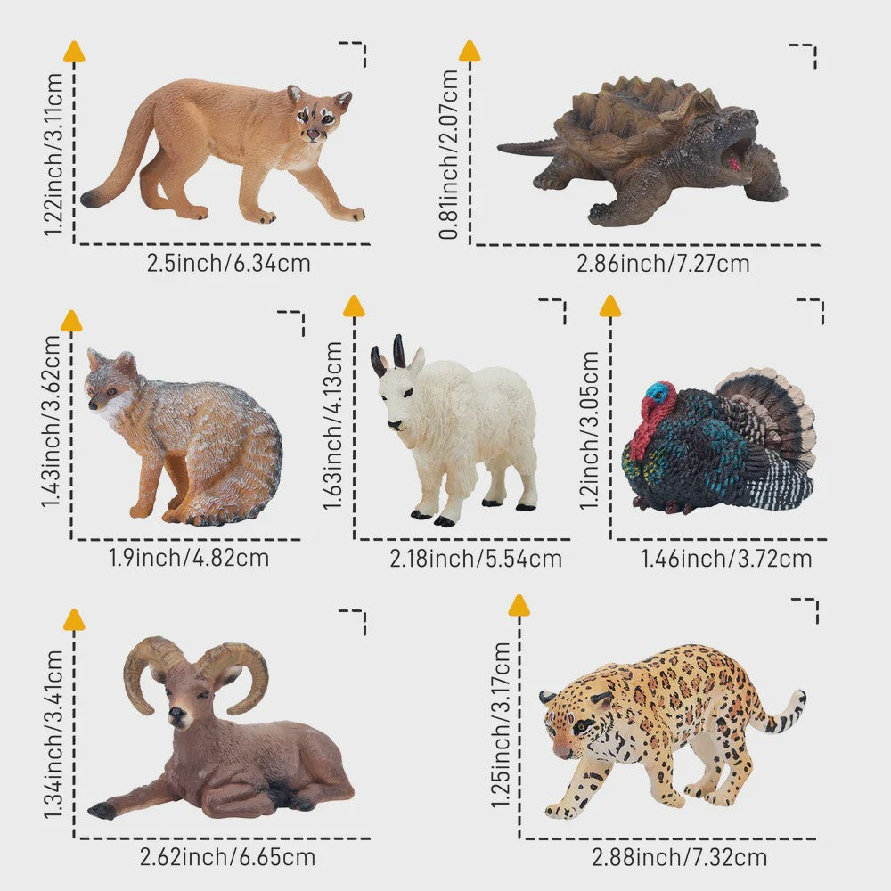 Toymany Noord-Amerikaanse Dieren Speelgoedset - 14 Realistische Mini Figuren