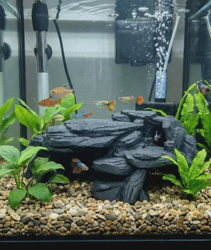 Realistische Rots Grot Decoratie voor Aquarium & Terrarium - Veilige Schuilplaats voor Vissen en Reptielen