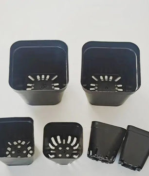 50 Stuks Vierkante Plastic Kweekpotjes voor Zaailingen en Planten