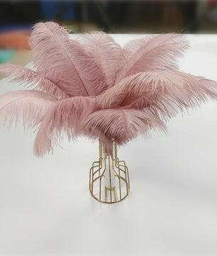 Set van 10 Gekleurde Struisvogelveren voor Knutselen, Decoratie en Feesten