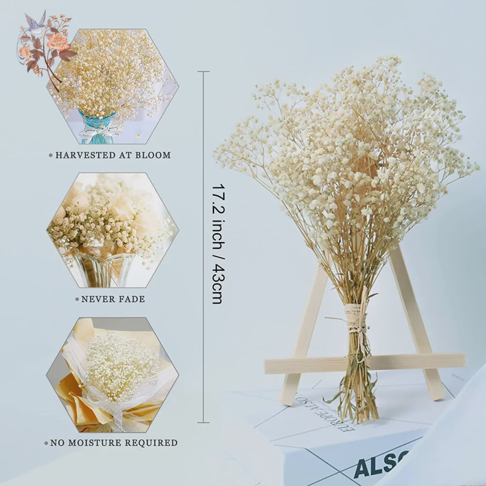 60g Gedroogde Baby's Breath Bloemboeket - Natuurlijke Gypsophila Decoratie