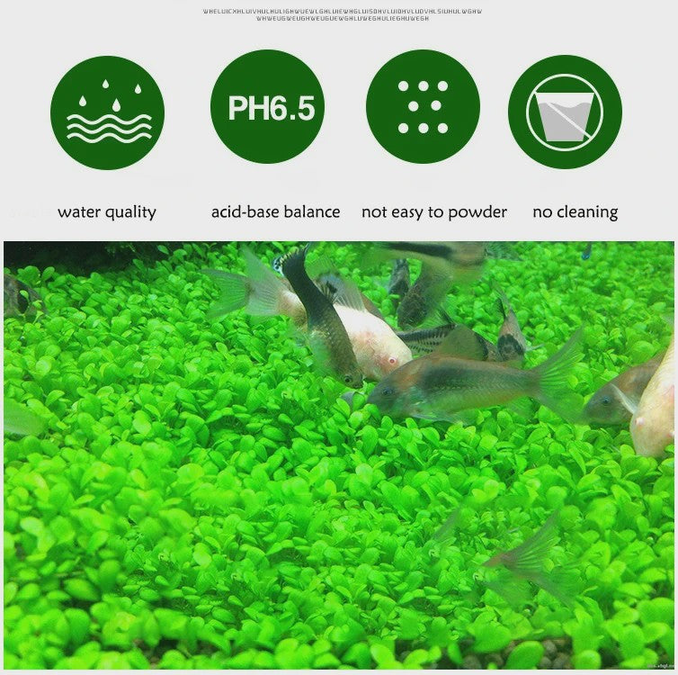 Aquarium Bodemgrond - Voedzame Zwarte Modder voor Waterplanten en Vissen