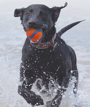 Duurzame Siliconen Hondenspeelbal - Interactief Kauwspeelgoed voor Middelgrote Honden