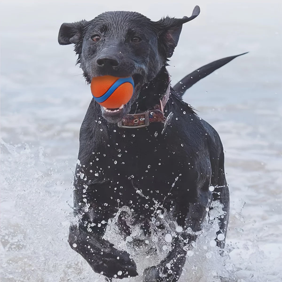 Duurzame Siliconen Hondenspeelbal - Interactief Kauwspeelgoed voor Middelgrote Honden