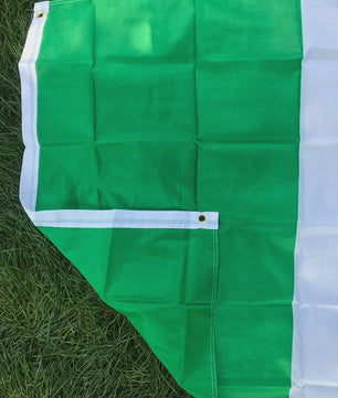 Ierse Vlag 90x150cm Polyester - Groen Wit Oranje