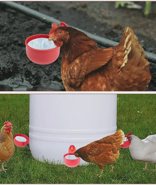 Automatische Drinkbakjes voor Kippen en Watervogels - Set van 10