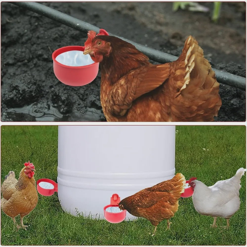 Automatische Drinkbakjes voor Kippen en Watervogels - Set van 10