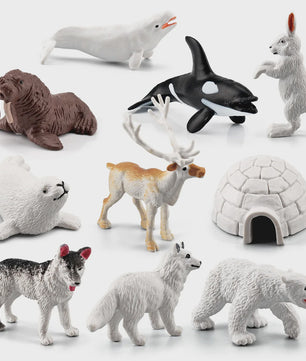 Set van 10 Arctische Dieren Figuren - Realistische Poolbeer, Zeehond, Walrus & Meer