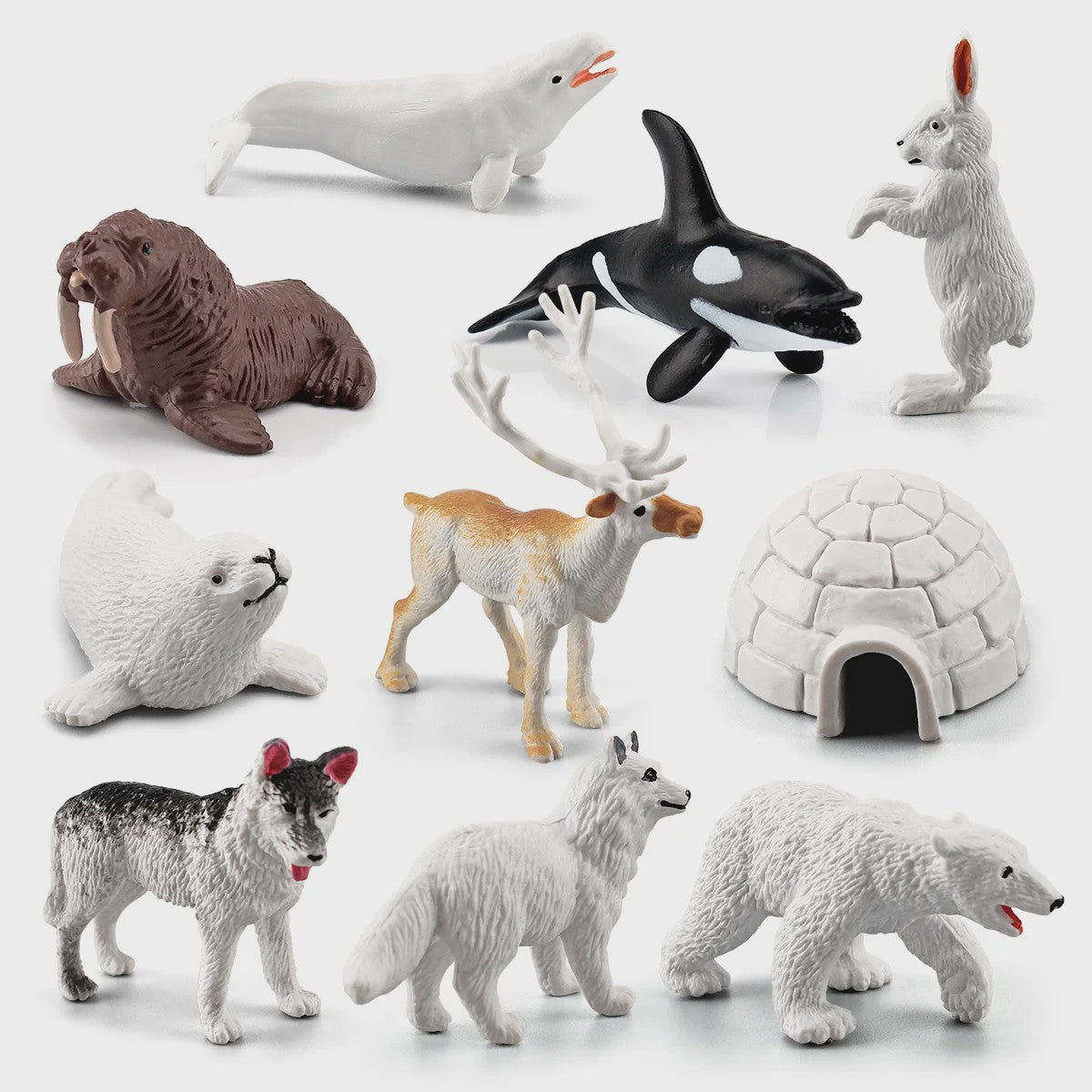 Set van 10 Arctische Dieren Figuren - Realistische Poolbeer, Zeehond, Walrus & Meer