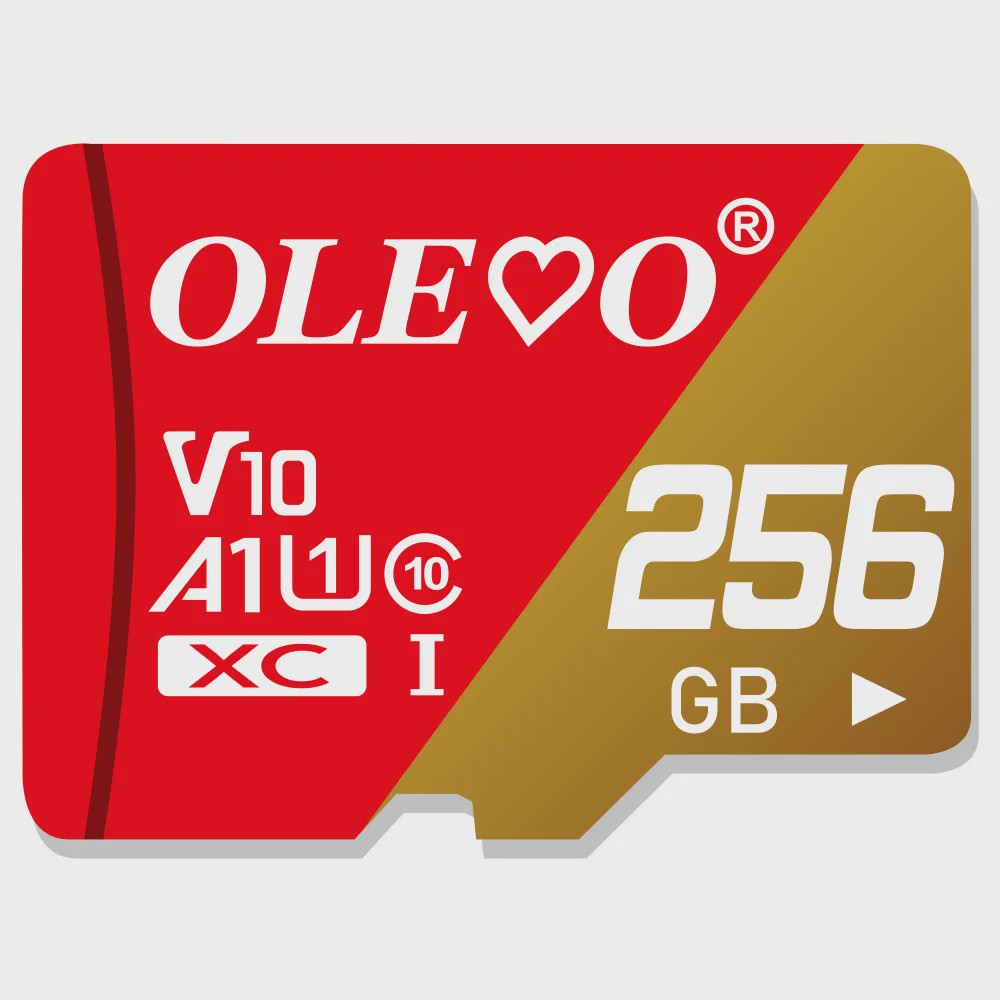 Snelle Mini SD Kaarten (4GB-64GB) - Class 10 TF Kaarten voor Smartphone, Camera & Tablet