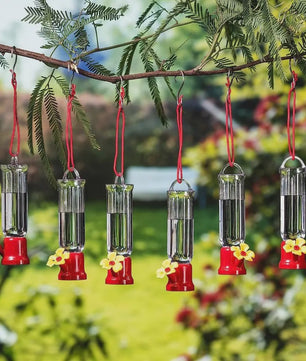 Draagbare Vogel Drinkfles met Ophangdraad - Transparant Plastic Voederbakje voor Tuinvogels