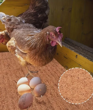 Duurzame Kokosvezel Nestmatten voor Kippen - Herbruikbaar Legnest Materiaal