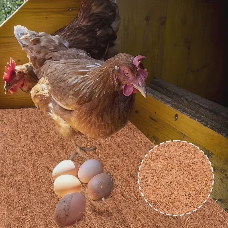 Duurzame Kokosvezel Nestmatten voor Kippen - Herbruikbaar Legnest Materiaal