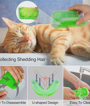Katten Borstel Hoek - Zelfverzorging & Haarverwijdering voor Katten en Kittens