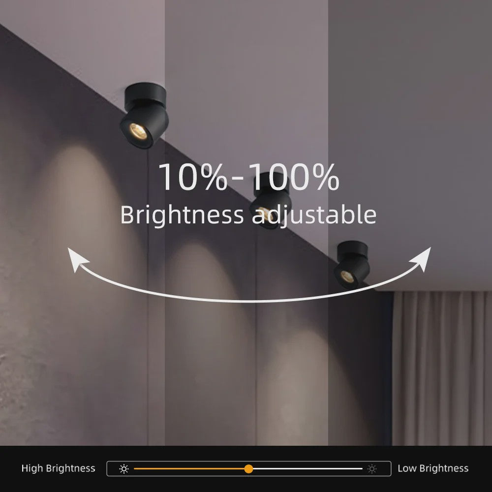 Aisilan LED Plafondspot Draaibaar & Kantelbaar - Oppervlakte Montage - 220V/110V