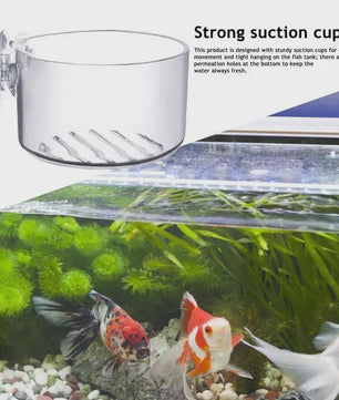 Aquarium Plantenbakje met Zuignap - Glas/Acryl Voederbakje & Plantenhouder
