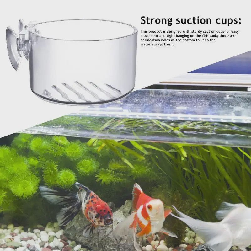 Aquarium Plantenbakje met Zuignap - Glas/Acryl Voederbakje & Plantenhouder