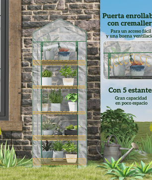 Kleine Transparante Kas met 5 Lagen - Ideaal voor Planten en Zaailingen