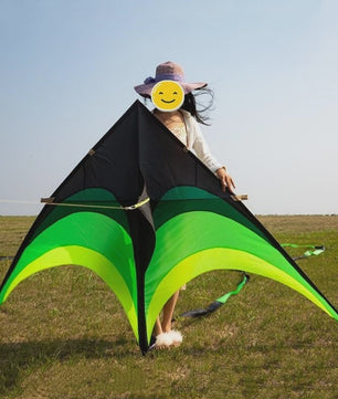 Grote Delta Vlieger met Handvat - Duurzaam Ripstop Nylon - Compleet met Staart en Handvat