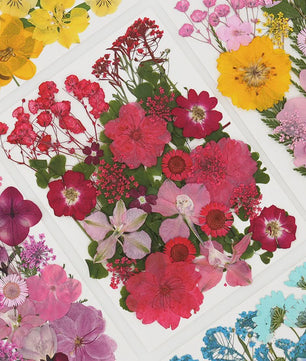 30 Stuks Gedroogde Persbloemen - Natuurlijke Bloemen & Bladeren voor Resin Art, Knutselen en Decoratie