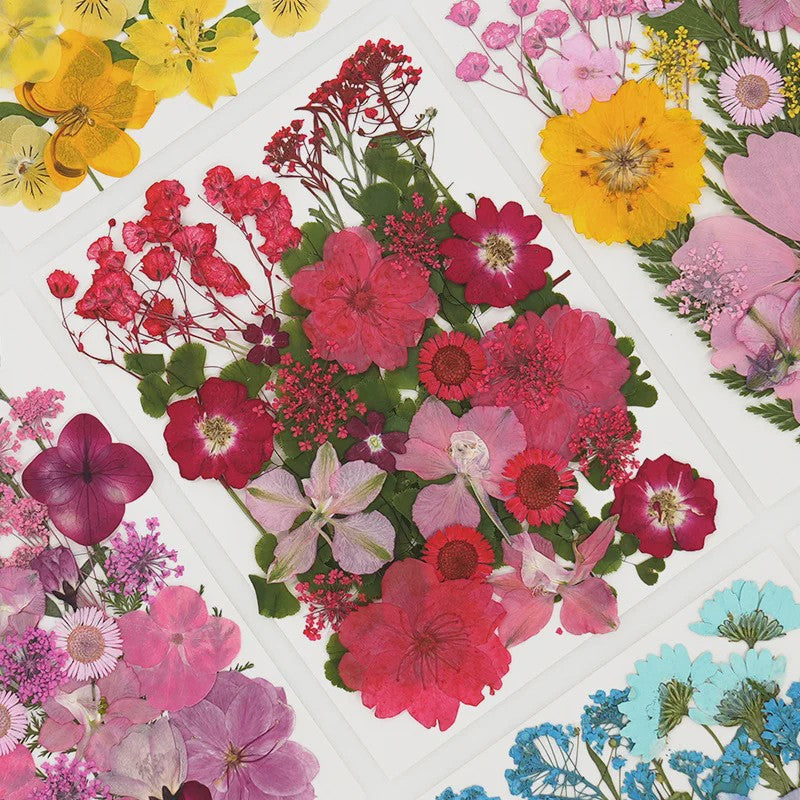 30 Stuks Gedroogde Persbloemen - Natuurlijke Bloemen & Bladeren voor Resin Art, Knutselen en Decoratie