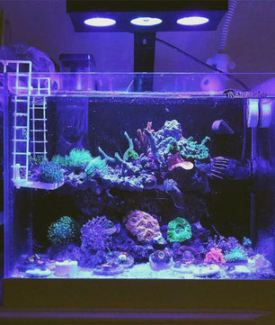 Spectra Nano 029 Aquariumverlichting 30W - Zoutwater, Koraalrif & Vistank met Touch Control