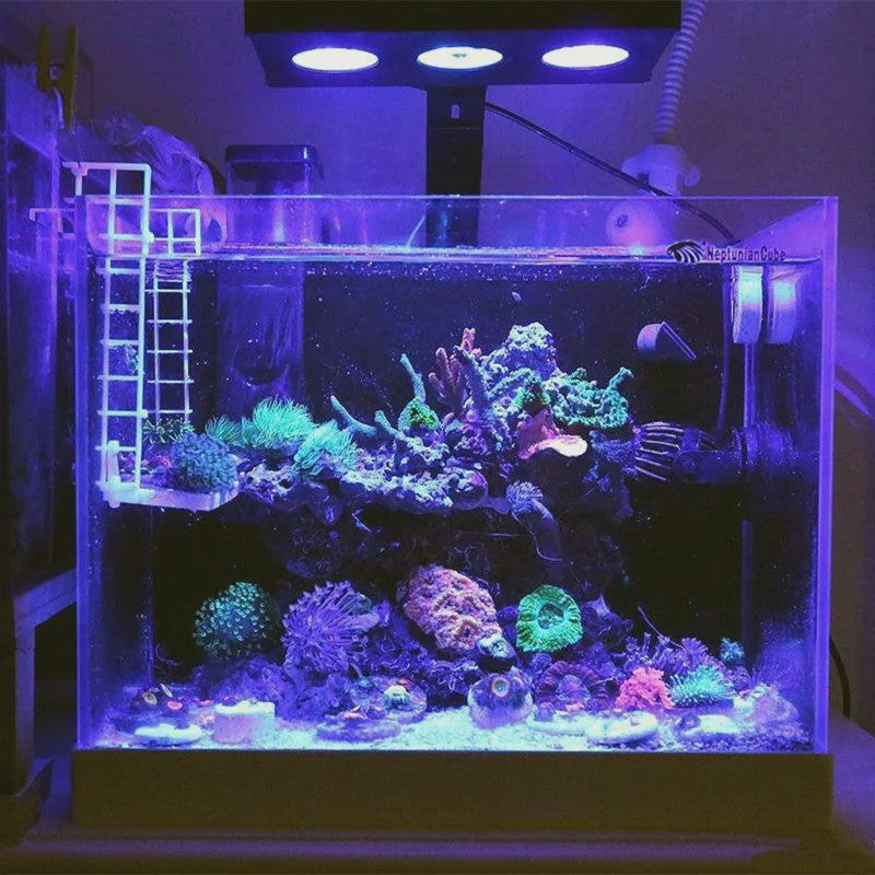 Spectra Nano 029 Aquariumverlichting 30W - Zoutwater, Koraalrif & Vistank met Touch Control