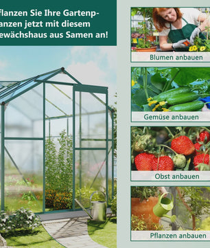 Aluminium Kweekkas met Fundering 4,75 M² - 190x253 cm met Dakraam en Schuifdeur