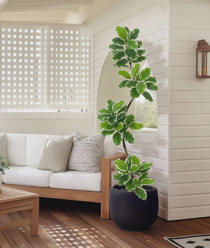 Realistische Kunstplant Ficus Lyrata (Fiddle Leaf Fig) - 180cm - Met Pot en Mos