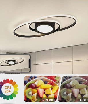 Moderne Zwarte LED Plafondlamp 48W Dimbare met Afstandsbediening & Kleurtemperatuur 3000K-6500K