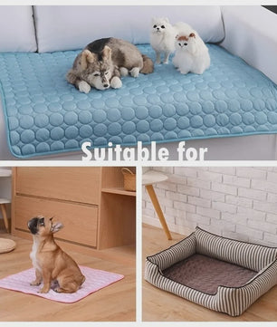 Hondenkoelmat & Kattenkoelmat - Verkoeling voor Huisdieren in de Zomer | Verschillende Maten