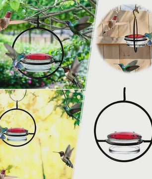 Hangende Kolibrivoederaar - Ronde Water Voeder voor Tuin en Balkon