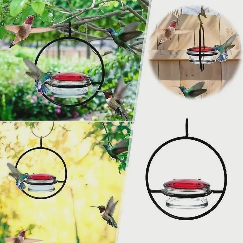 Hangende Kolibrivoederaar - Ronde Water Voeder voor Tuin en Balkon