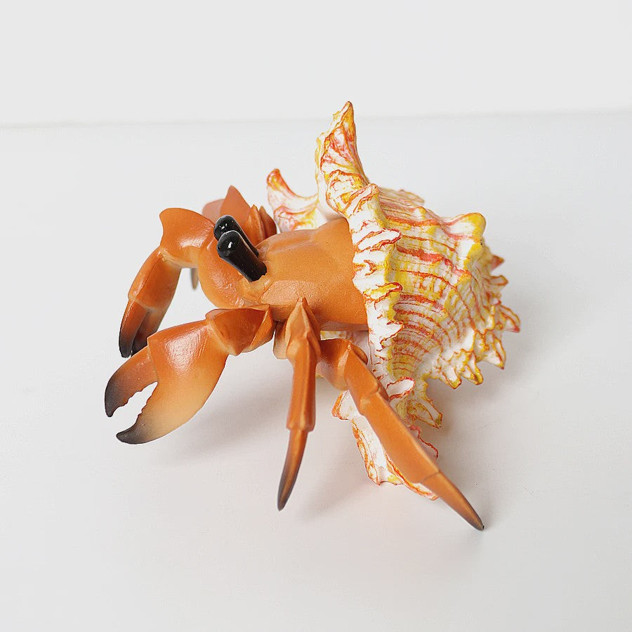 Realistische Heremietkreeft Figuur - Duurzaam PVC Zeedier Speelgoed voor Kinderen