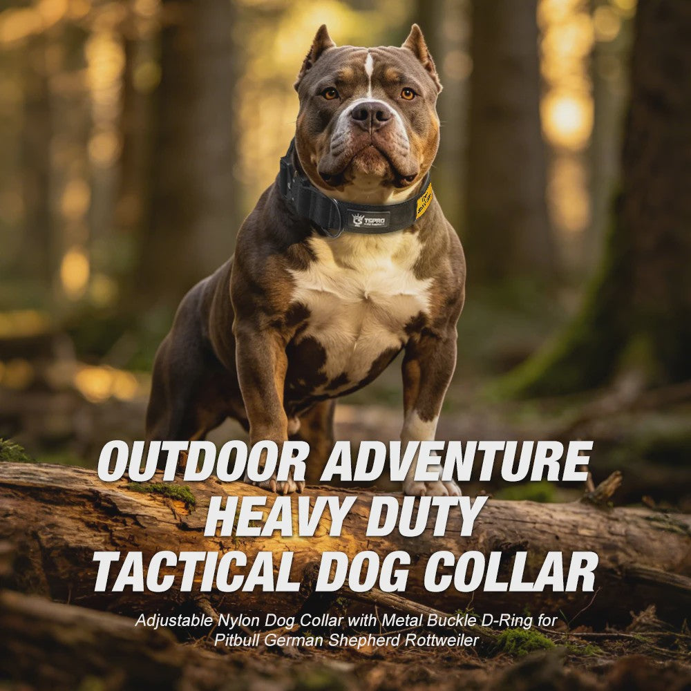 TSPRO Tactische Hondenhalsband Heavy Duty met Metalen Gesp - Verstelbaar voor Middelgrote tot Grote Honden