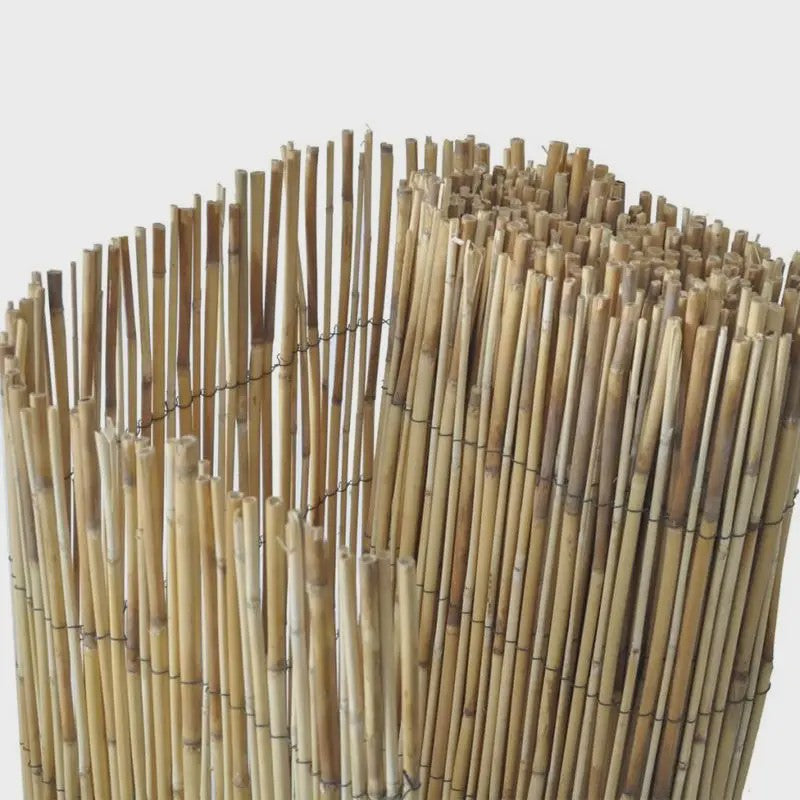 Natuurlijke Rietenschutting 100x1000cm - Privacy & Decoratie voor Tuin en Balkon