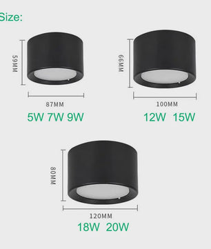 Moderne LED Plafondspot - Opbouw Downlight met 3 Kleurtemperaturen