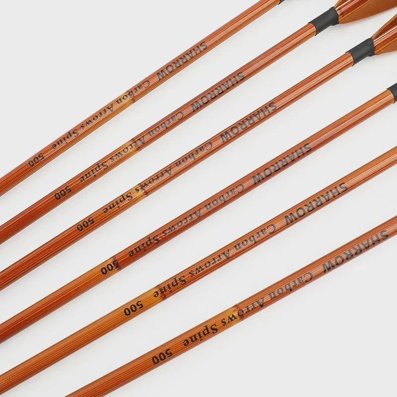 Set van 6/12 Gemengde Carbon Pijlen SP500 - 31.5 inch - Jacht & Schietsport