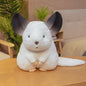 Schattige Chinchilla Pluche Kussen - Zacht Pluche Dier Speelgoed voor Kinderen